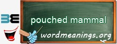WordMeaning blackboard for pouched mammal